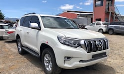 INS remata 63 vehículos para repuestos: precios inician en ¢75.000 y hay modelos 2022