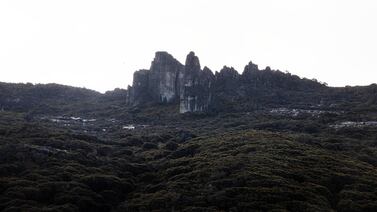 Visitar el Parque Nacional Chirripó podría costarle un 50% más caro si prospera esta idea de un diputado