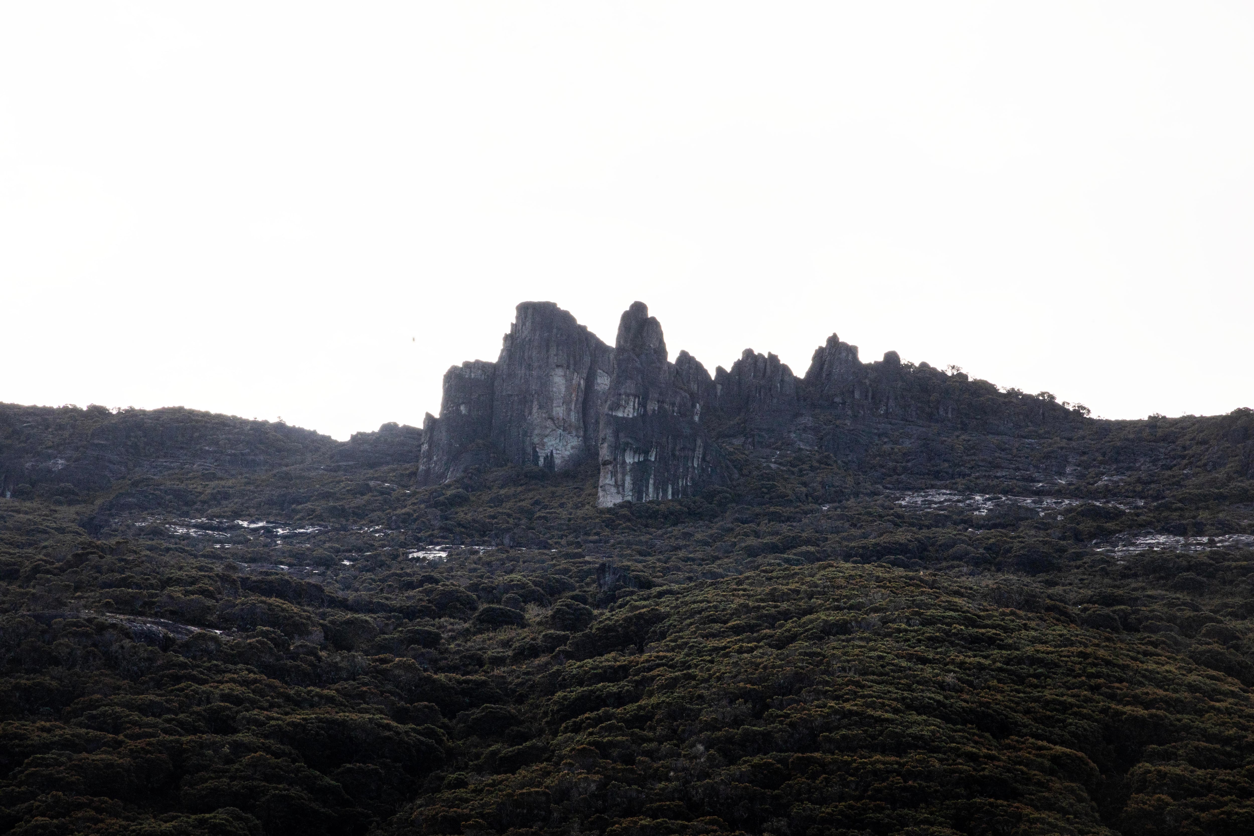 25 al 30 de Septiembre 2024. Parque Nacional Chirripo por los diferentes puntos del parque, Cerro Ventisqueros, Cerro Chirripo, Cerro Crestones, Cerro Terbi, Laguna Ditkevi, y Sabana de los Leones. Foto Alonso Tenorio