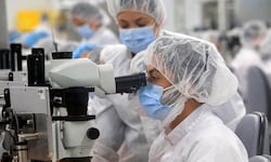¿Busca empleo en una multinacional? Estas son las certificaciones técnicas más cotizadas en Costa Rica