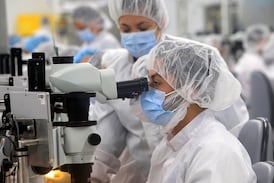 ¿Busca empleo en una multinacional? Estas son las certificaciones técnicas más cotizadas en Costa Rica
