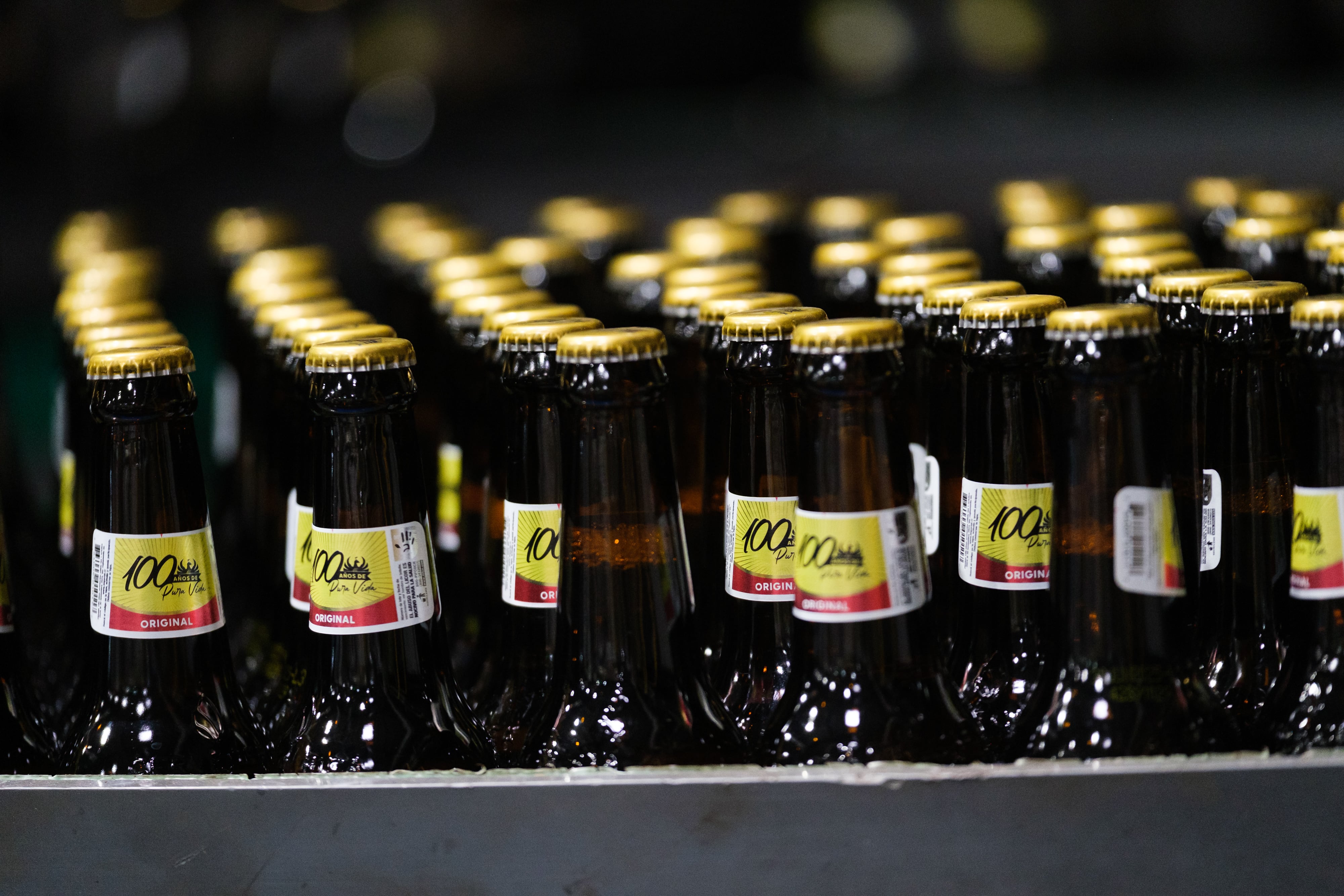Imágenes del 2024 de Fifco, planta productora, almacén y cervezas.