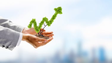 Anote estos consejos para entender su seguro de vida y maximizar sus beneficios