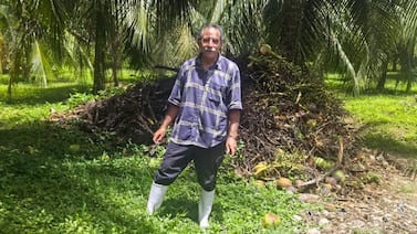 Compró tres hectáreas en Matina, se planteó evitar a los intermediarios y aprovechar los desechos del coco: ahora vende en supermercados y ganó un premio emprendedor