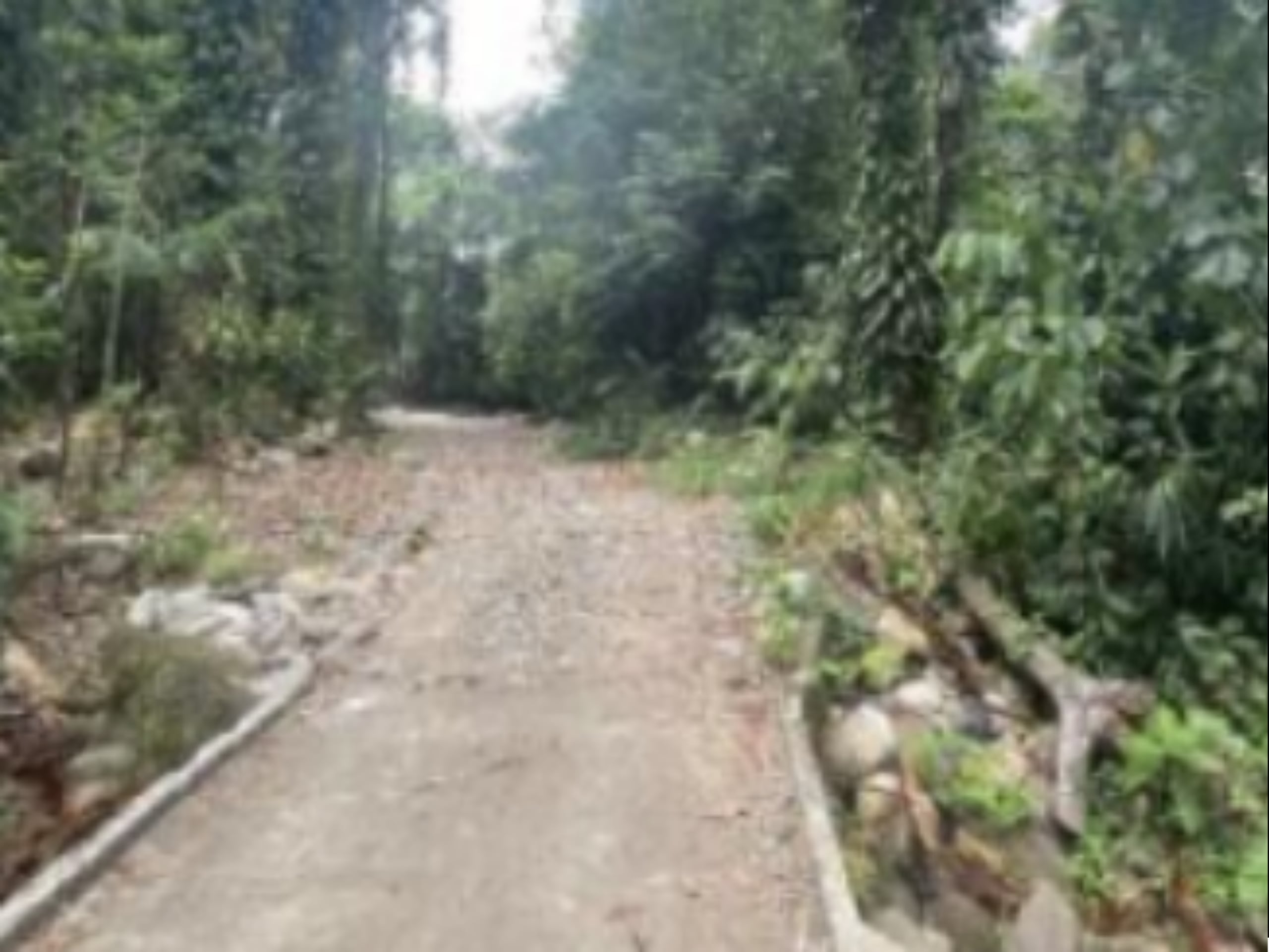 Terreno en Guácimo, Limón