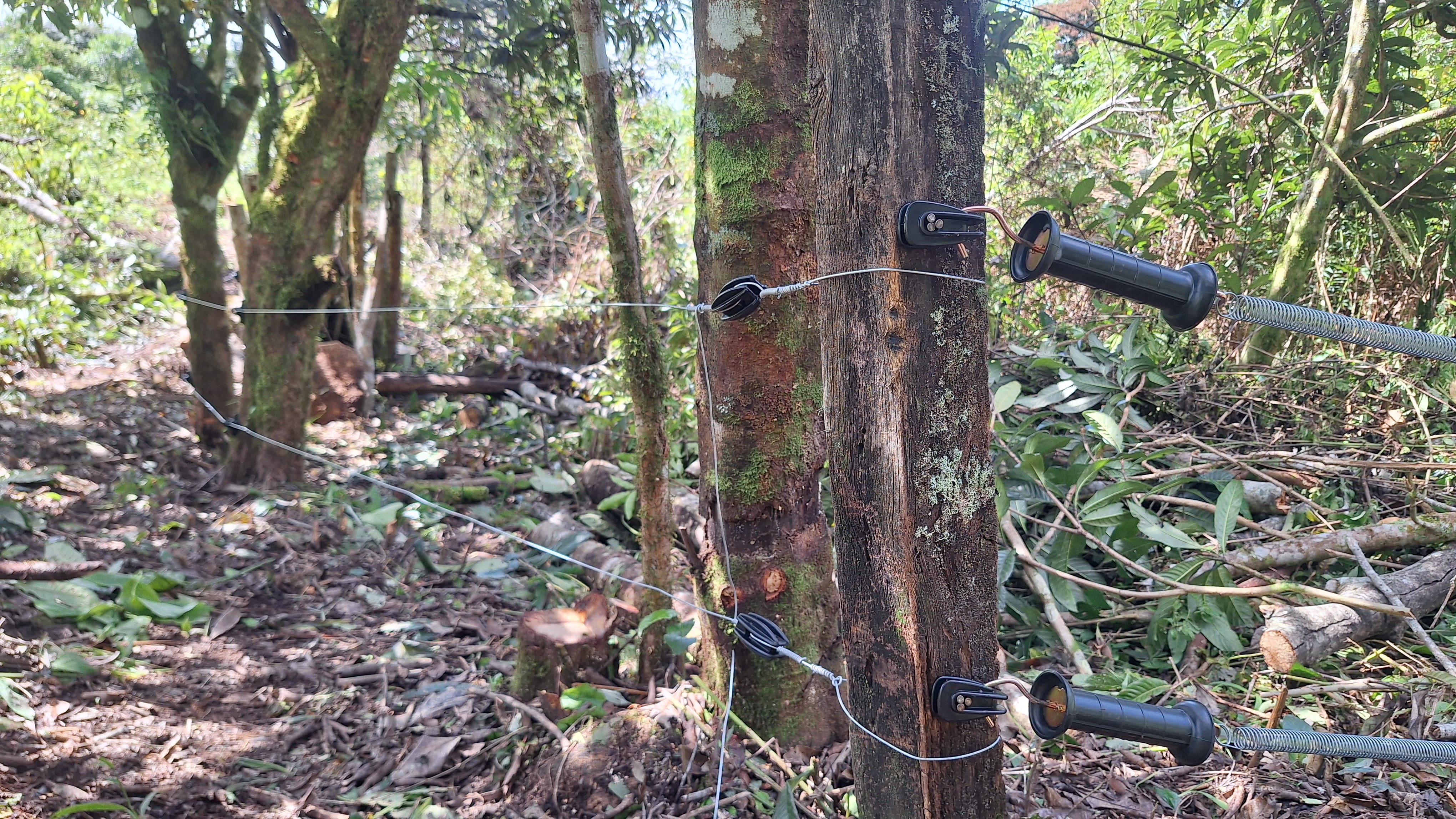 Cercas eléctrica colocadas por donación de Grupo Aje para productores de Tres Colinas.