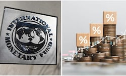 FMI aconseja bajar las tasas de interés: ¿puede el Banco Central reducirlas?