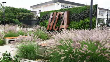 IICA impulsa el desarrollo agropecuario y rural en las Américas e innova con programa de “Puertas Abiertas”