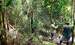 Giro estatal en políticas ambientales debilita la histórica narrativa verde de Costa Rica