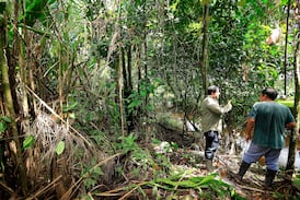 Giro estatal en políticas ambientales debilita la histórica narrativa verde de Costa Rica