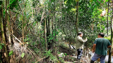 Giro estatal en políticas ambientales debilita la histórica narrativa verde de Costa Rica