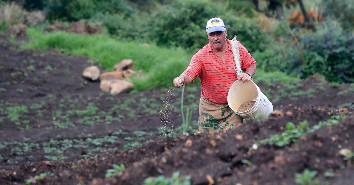 En la imagen un agricultor