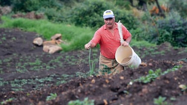 Todo sobre el proyecto de ley que busca subsidiar seguros para productores agropecuarios