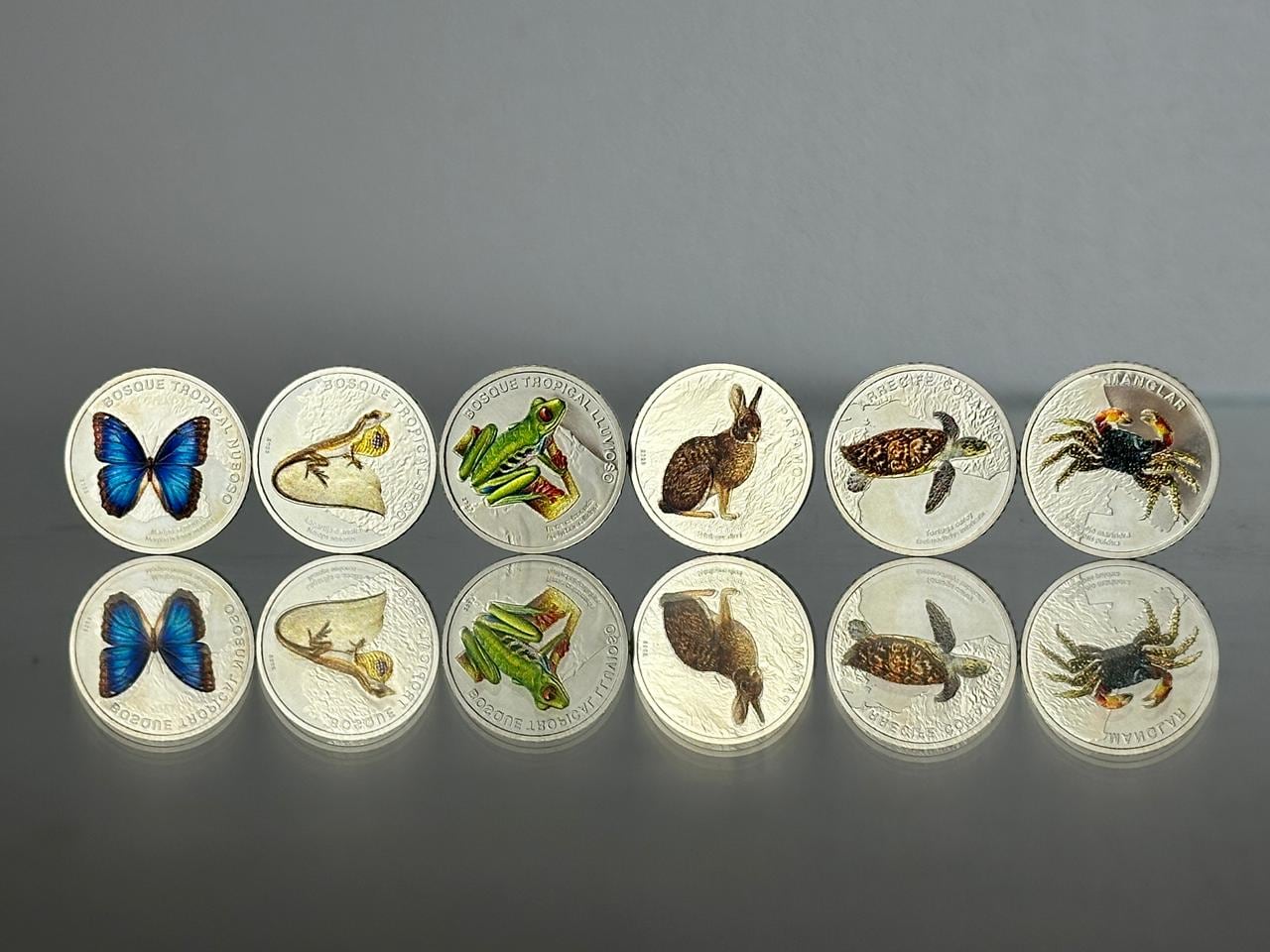 La moneda del conejo de monte estará disponible desde el 26 de noviembre en bancos y cooperativas autorizadas por el Banco Central.