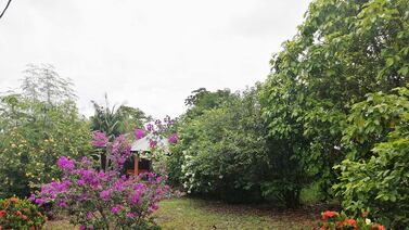 BCR vende 115 casas, edificios y terrenos en más de 50 cantones con descuentos de hasta 60%