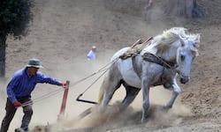 Clima y plagas golpean al agro mientras la obra pública y la tecnología sostienen el crecimiento económico