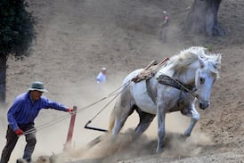 Clima y plagas golpean al agro mientras la obra pública y la tecnología sostienen el crecimiento económico