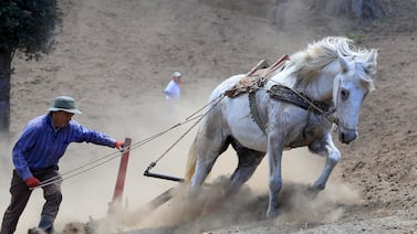 Clima y plagas golpean al agro mientras la obra pública y la tecnología sostienen el crecimiento económico