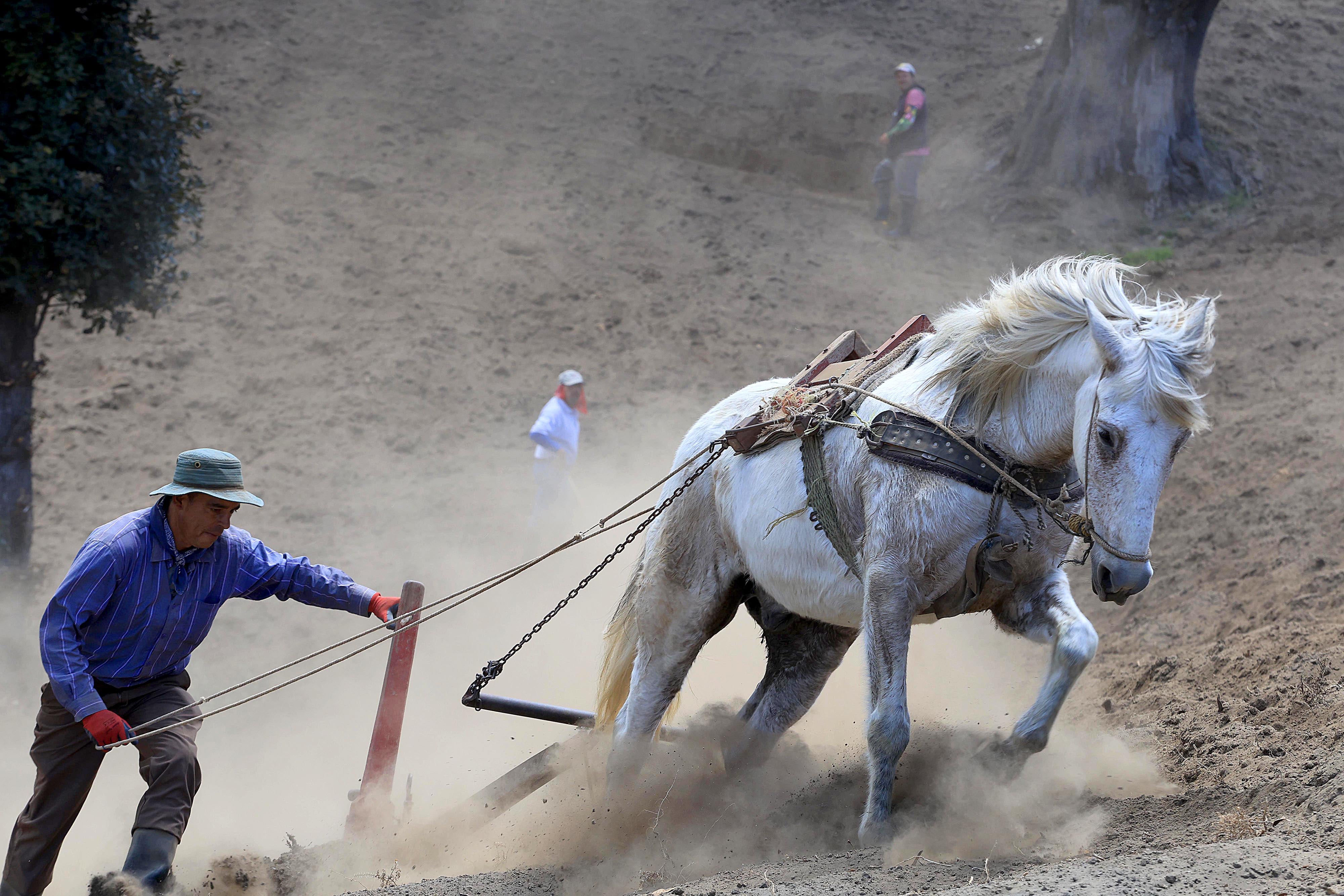 Agricultores; Terrenos secos; Siembros; Cultivos