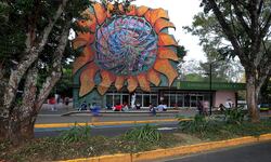 Cortes de carrera UCR 2026: estas son las 10 carreras con los cortes más altos