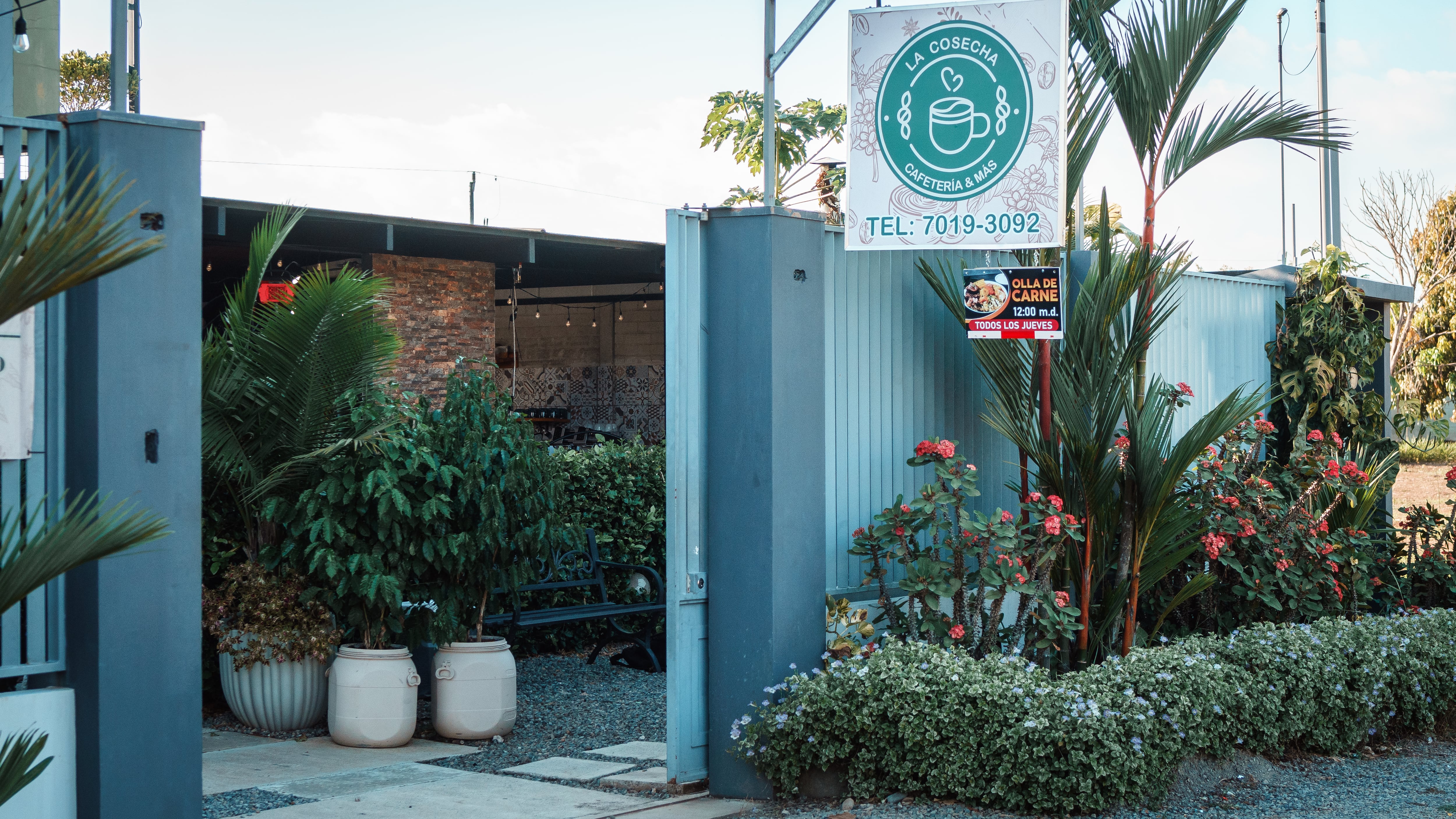 La Cosecha de Maíz, Pérez Zeledón, emprendimiento