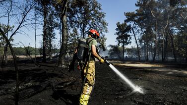 Olas de calor podrían quitarle al PIB mundial 0,6 puntos en 2023, según Allianz Trade