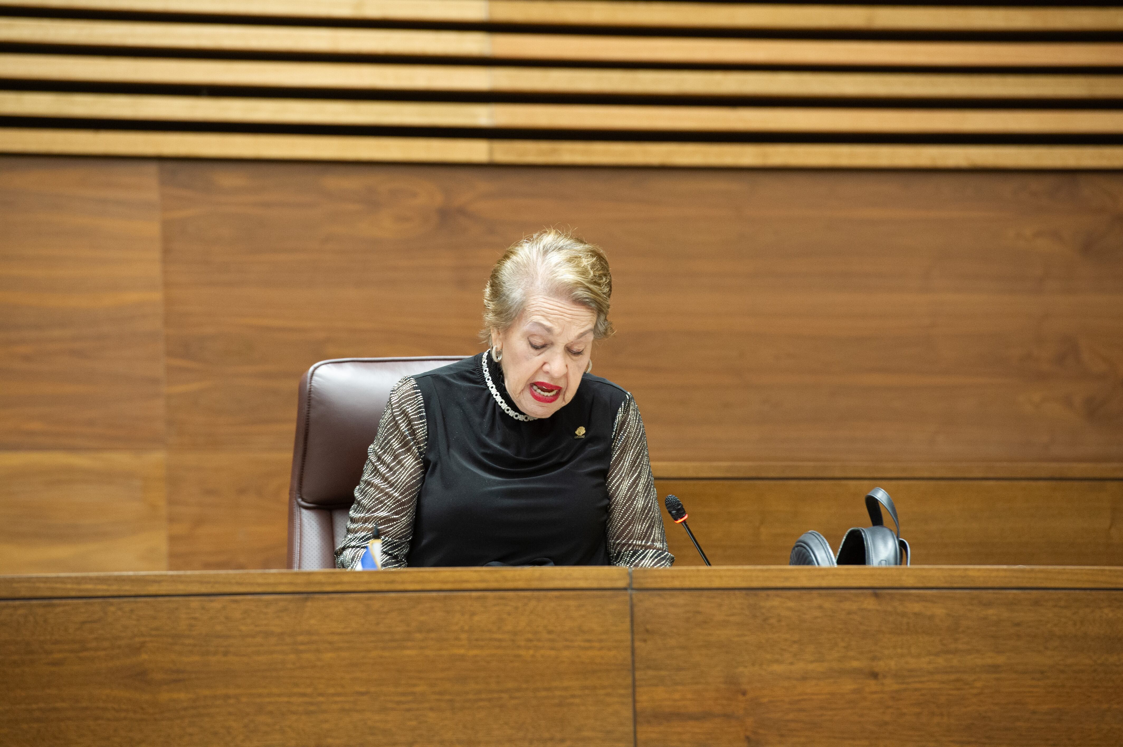 Asamblea Legislativa, Plenario Legislativo