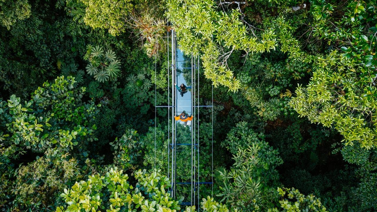 La superficie está compuesta por 54 paneles de vidrio transparente de 20 mm de grosor, para aplicaciones estructurales y con una capacidad de resistencia superior a 1.000 kg/m².