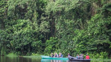 Nueva caída: estos son los datos de la visitación turística a Costa Rica al cierre del primer semestre