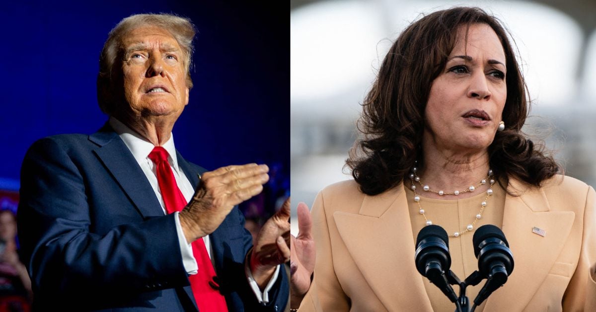 Donald Trump y Kamala Harris reducen la brecha por la presidencia de Estados Unidos.