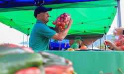 Tomate, papaya y papa encabezan la lista de los productos que más bajaron de precio durante el 2025 en Costa Rica