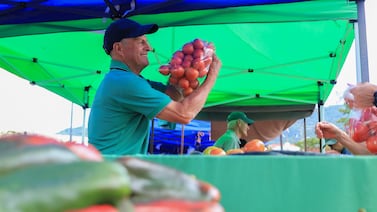 Tomate, papaya y papa encabezan la lista de los productos que más bajaron de precio durante el 2025 en Costa Rica