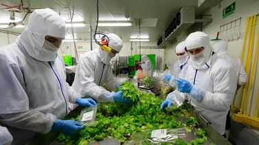 Empresa de Cartago anuncia inversión de $500.000 en Guápiles. Conozca a qué se dedica