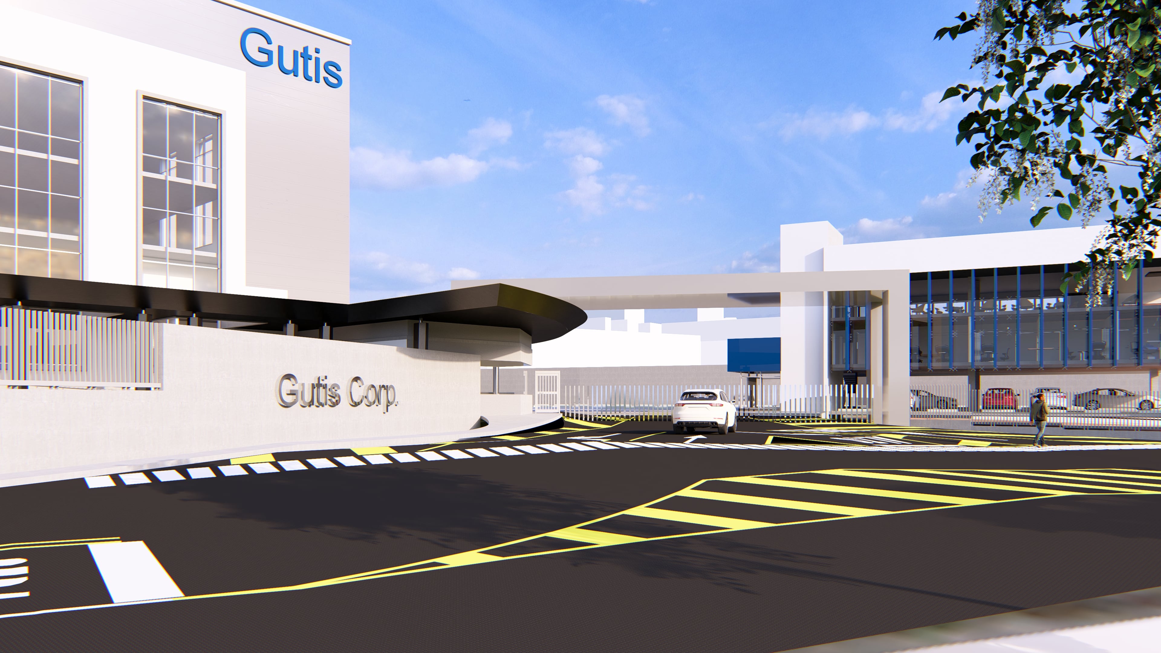 Gutis, nueva planta