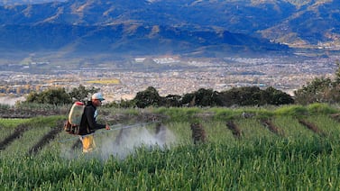 Reimaginar la agricultura para los jóvenes