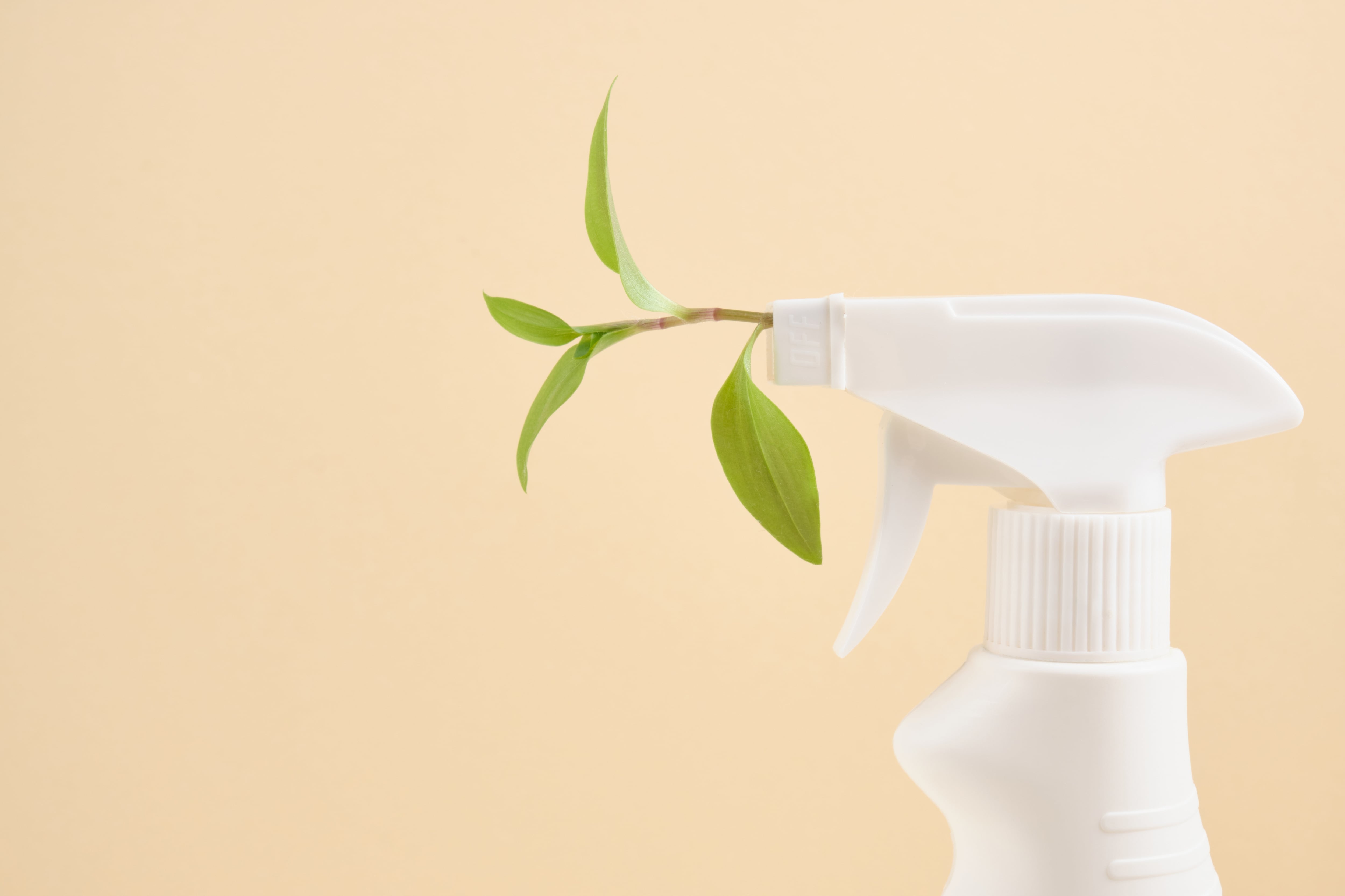 Cómo saber si un producto de limpieza es biodegradable