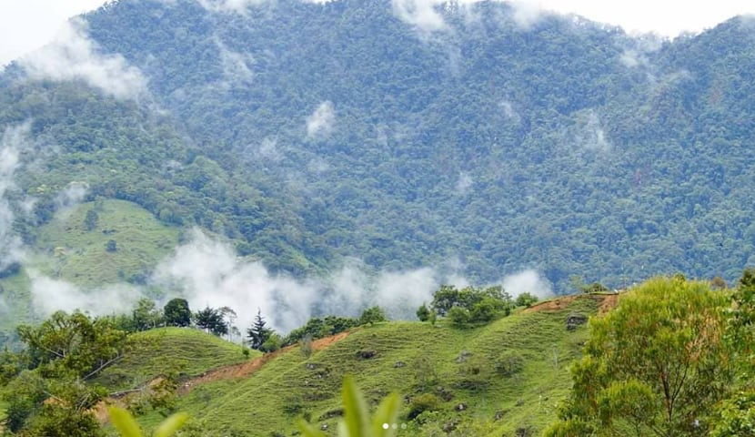 Jardines Secretos, emprendedores, historias, Emprender