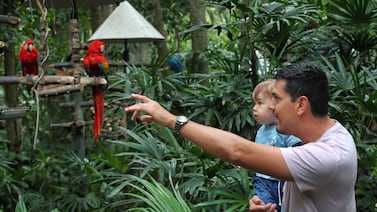 Tres mil animales silvestres son rescatados al año en el ‘Rescate Wildlife Rescue Center’: empresas se unen a apoyar su labor