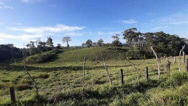 Remates del INS: 18 propiedades en Alajuela y Puntarenas desde ¢10 millones