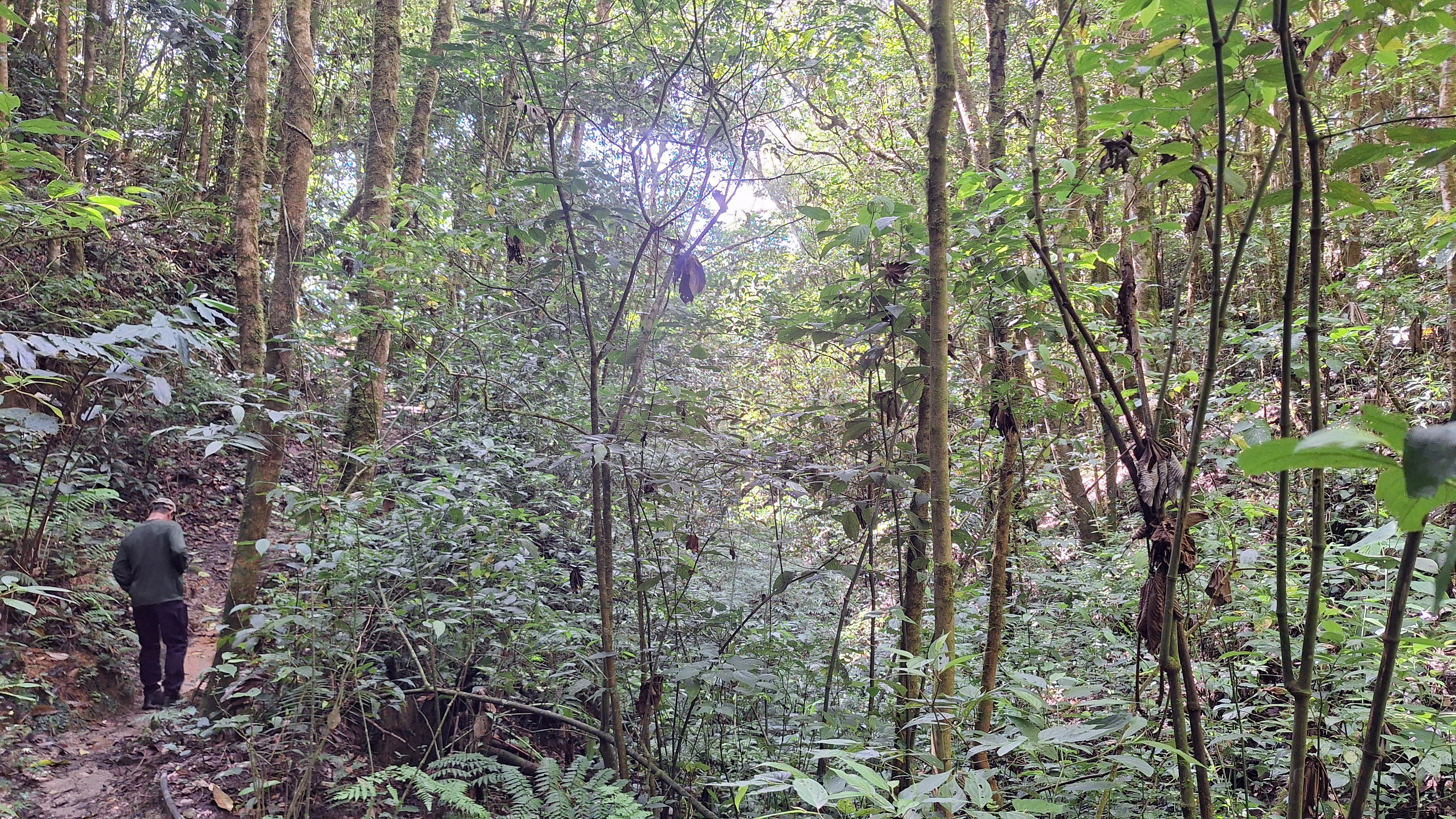 Freddy Acuña, uno de los productores beneficiados con las cercas eléctricas colocadas por donación de Grupo Aje para productores de Tres Colinas.