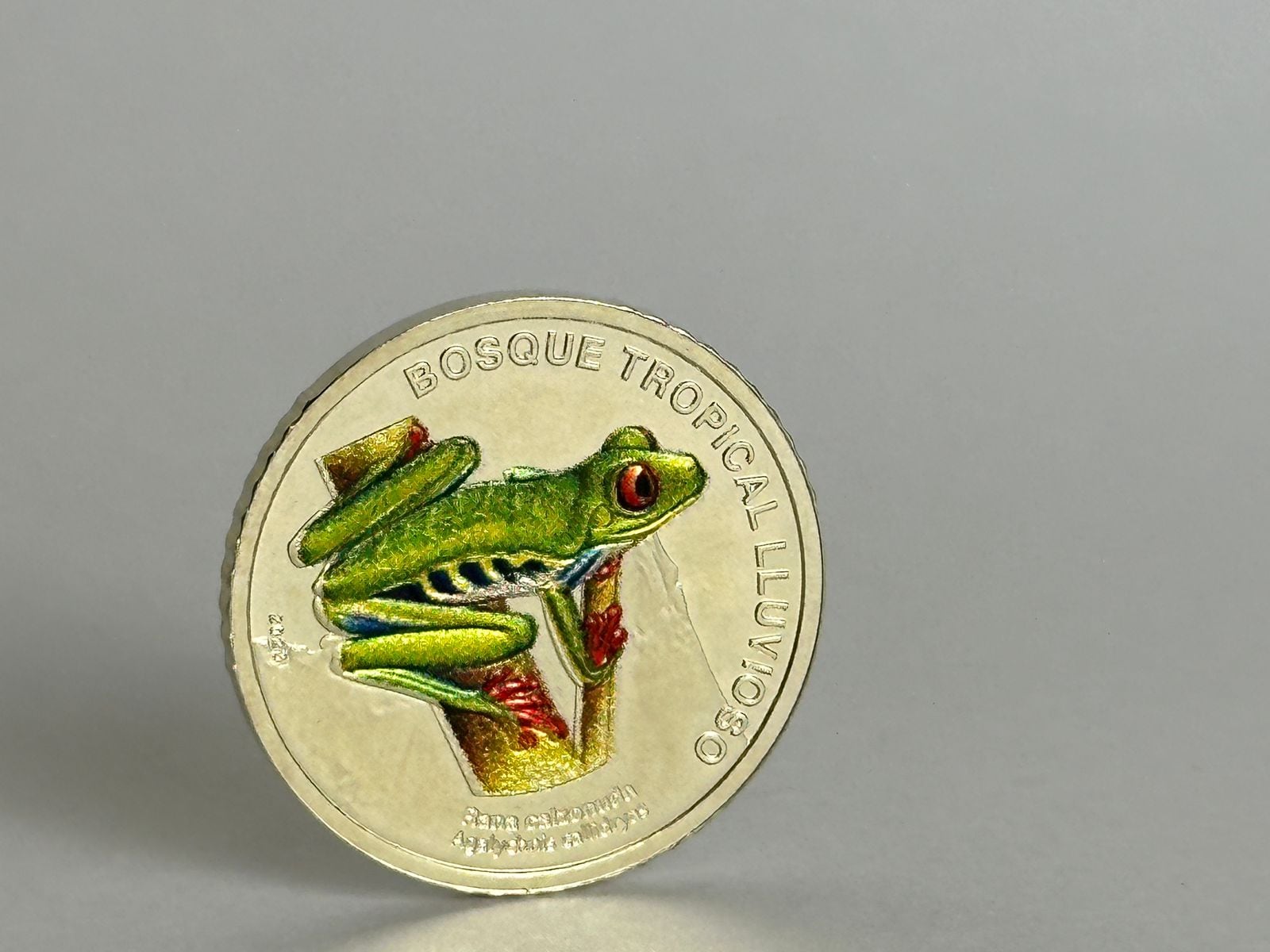 Imagen de la segunda pieza coleccionable de la denominación de ¢50, cuya venta iniciará el 24 de febrero.