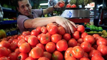 ¿Hasta cuándo seguirán por las nubes los precios de los vegetales? Productores dan fecha de posible normalización