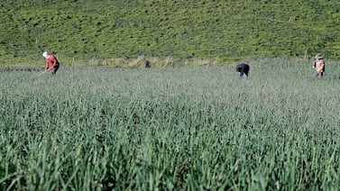 Insostenible: recursos del planeta no soportarán 10.000 millones de habitantes en el 2050