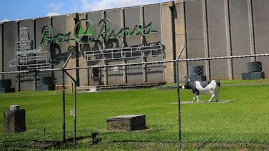 Dos Pinos tiene decenas de puestos de empleo y acá le contamos cómo aplicar