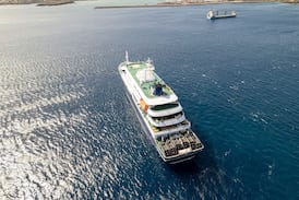 El crucero del hantavirus: la historia detrás del viaje que activa alertas sanitarias en varios países