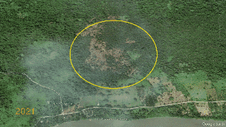 Imágenes satelitales de Google Earth muestran que la aparente pista de aterrizaje clandestina en Sixaola no estaba en octubre del 2021, pero sí se observa en agosto del 2024. Fuente: