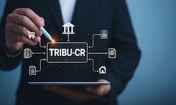 Guía de última hora para declarar renta: vea nuestras publicaciones y evítese multas