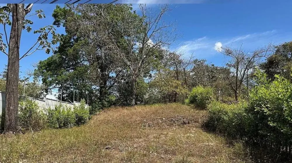 Lote residencial ubicado en San Mateo, específicamente 200 metros al noroeste del cementerio del cantón.