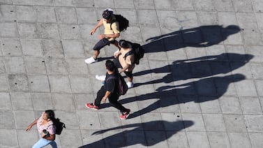 ¿Se ganan mejores salarios en el sector público o en el privado? Revisamos qué dicen los datos por nivel de ingreso