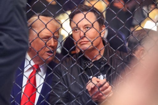 Donald Trump, presidente electo de Estados Unidos, y Elon Musk, director ejecutivo de Tesla y SpaceX, en el UFC 309 en Nueva York, noviembre de 2024.